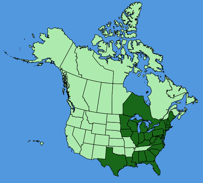 map-usc-wf-Lupinus-perennis.JPG