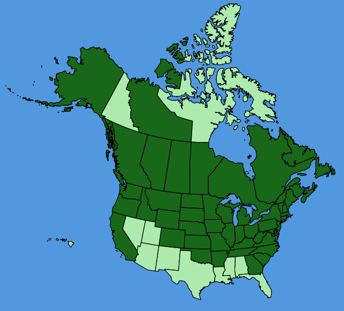 map-usc-wf-Lycopus-uniflorus.JPG