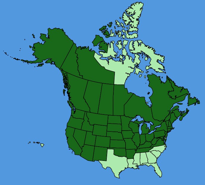 map-usc-wf-Maianthemum-stellatum.JPG