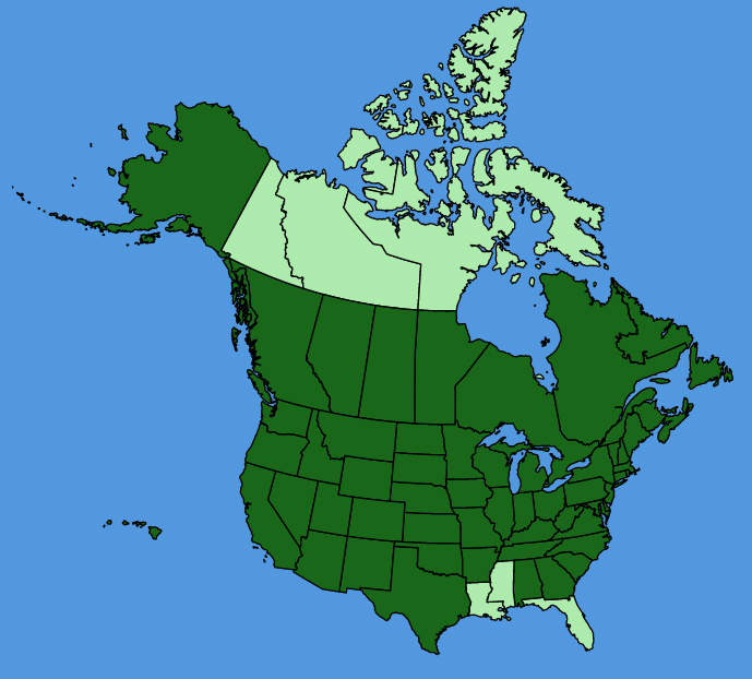map-usc-wf-Malva-neglecta.JPG