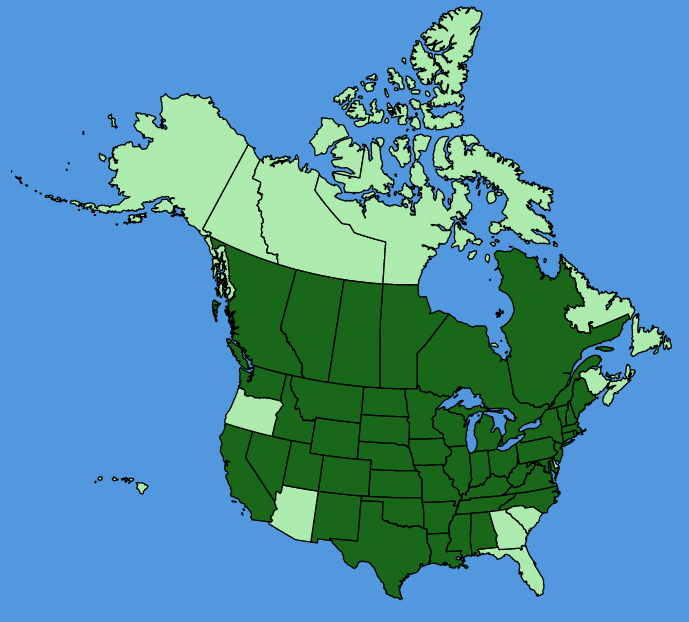 map-usc-wf-Mirabilis-nyctaginea.JPG