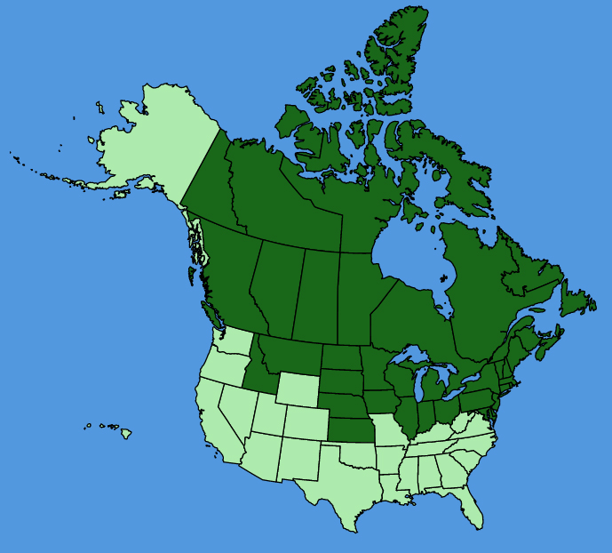 map-usc-wf-Nuphar-variegata.JPG