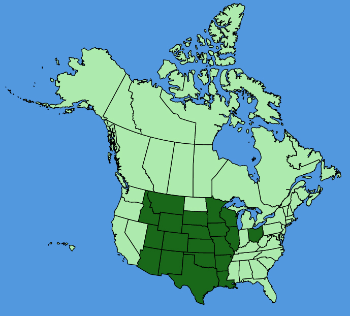 map-usc-wf-Opuntia-macrorhiza.JPG