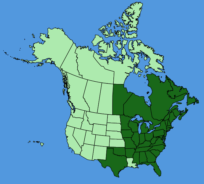map-usc-wf-Packera-aurea.JPG