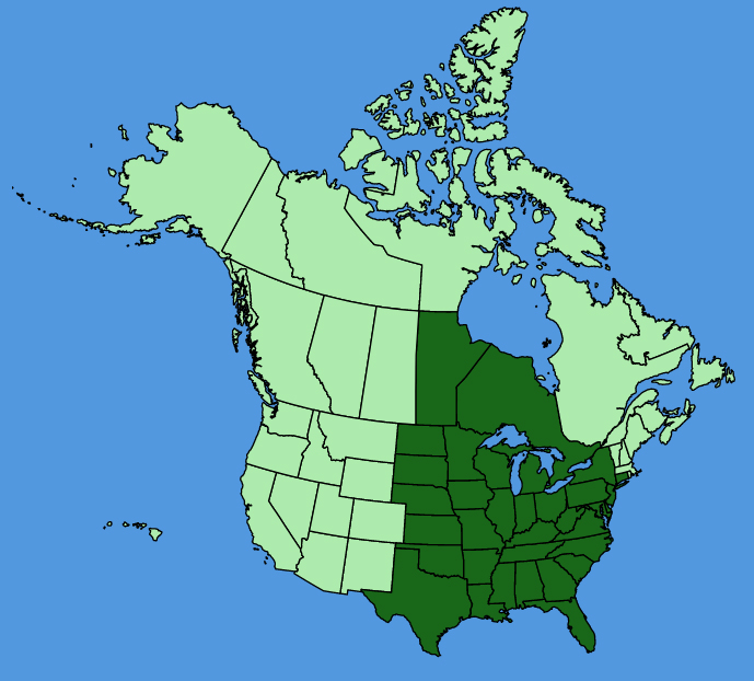 map-usc-wf-Phlox-pilosa.JPG
