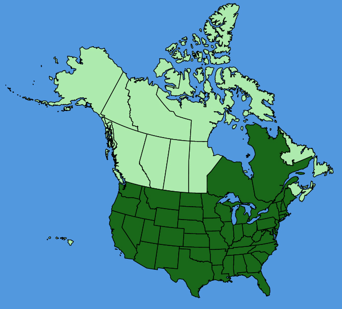 map-usc-wf-Physalis-longifolia.JPG