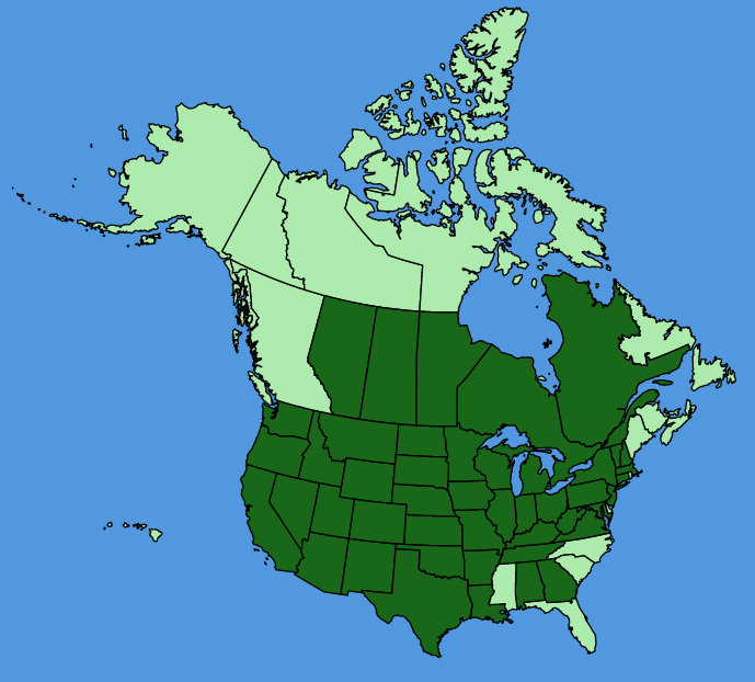 map-usc-wf-Polanisia-dodecandra.JPG