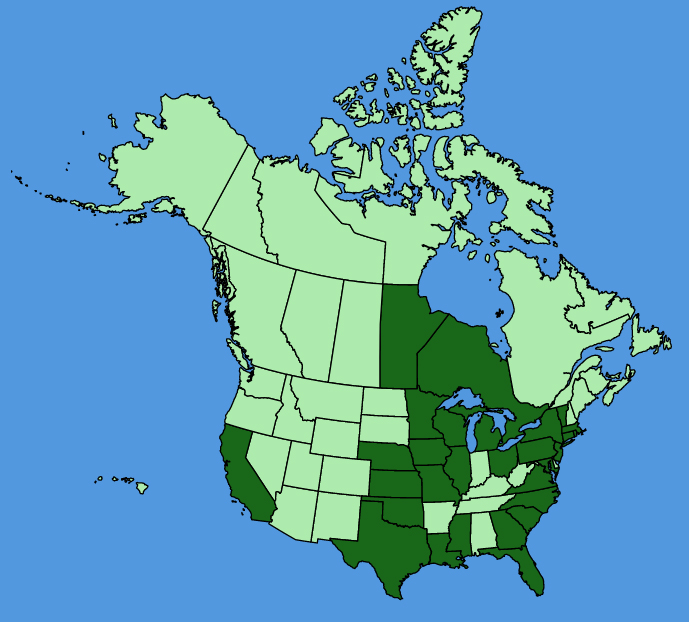 map-usc-wf-Portulaca-grandiflora.JPG