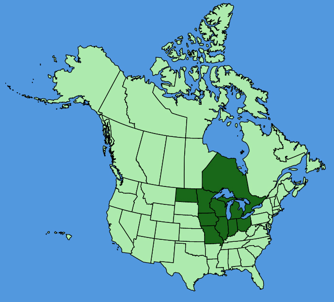 map-usc-wf-Quercus-ellipsoidalis.JPG
