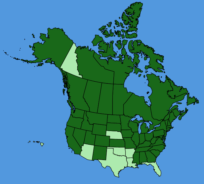 map-usc-wf-Ranunculus-acris.JPG