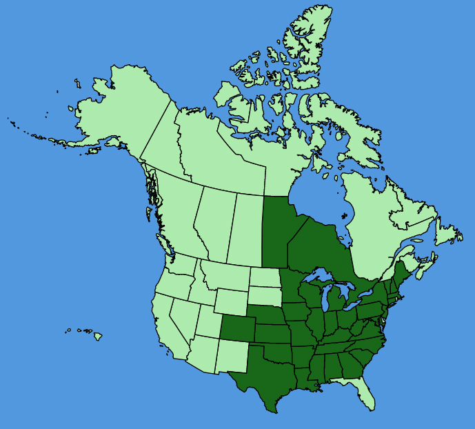 map-usc-wf-Ranunculus-fascicularis.JPG