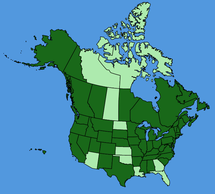 map-usc-wf-Ranunculus-repens.JPG