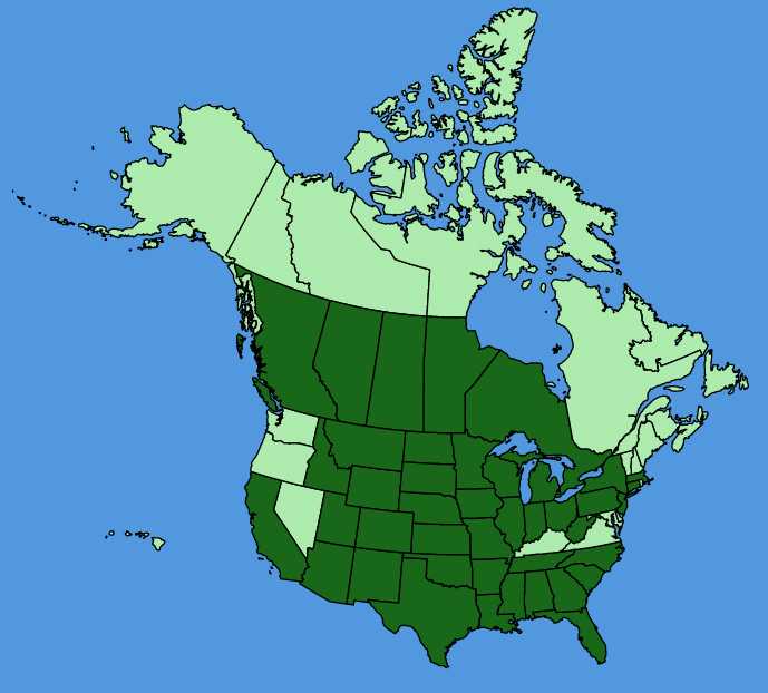 map-usc-wf-Ratibida-columnifera.JPG