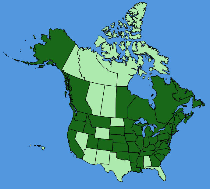 map-usc-wf-Reynoutria-japonica.JPG