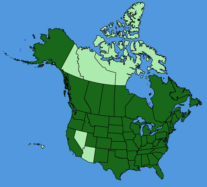 map-usc-wf-Rudbeckia-hirta.JPG