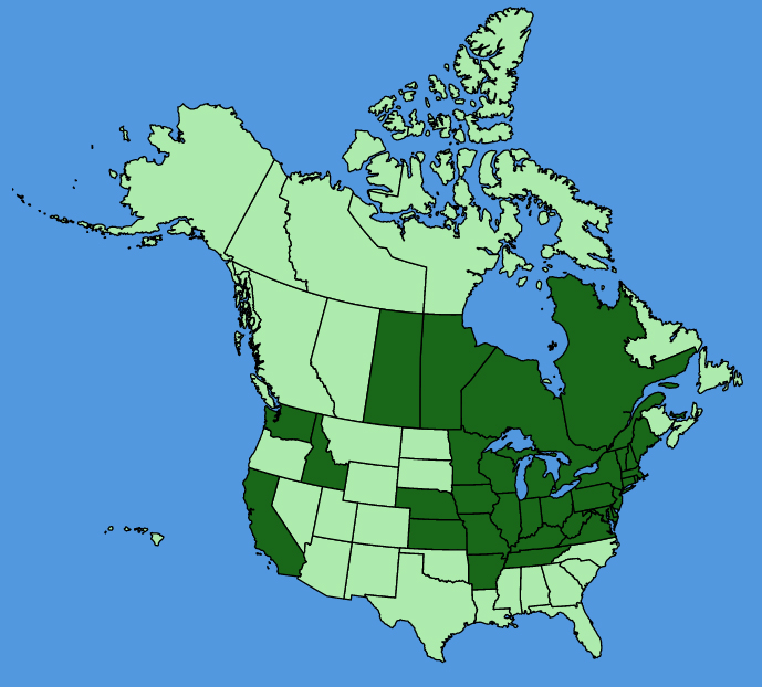 map-usc-wf-Sagittaria-rigida.JPG