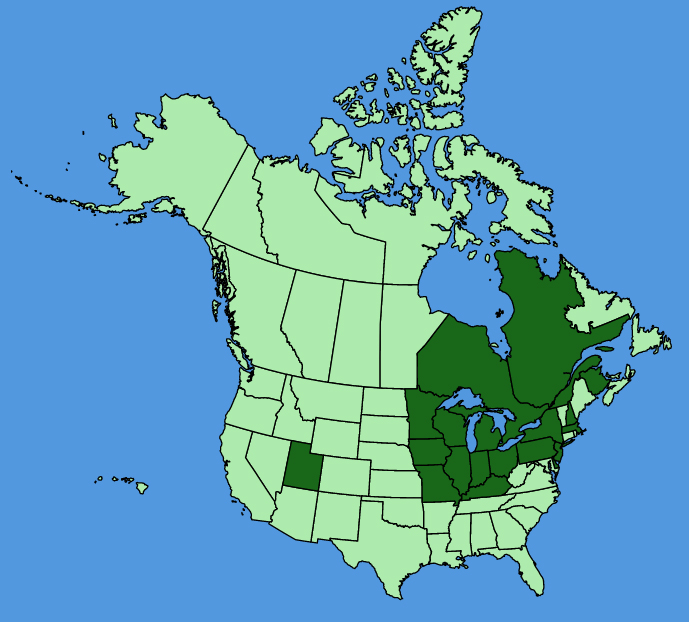 map-usc-wf-Scilla-siberica.JPG