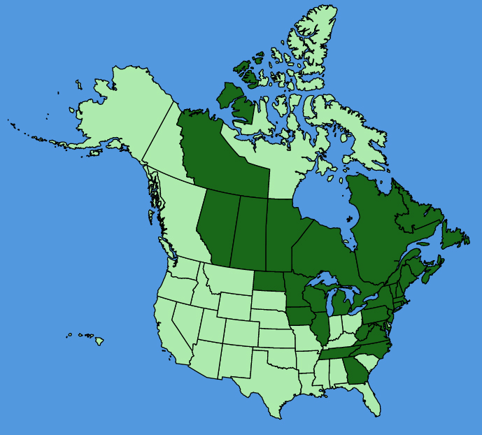 map-usc-wf-Sibbaldia-tridentata.JPG