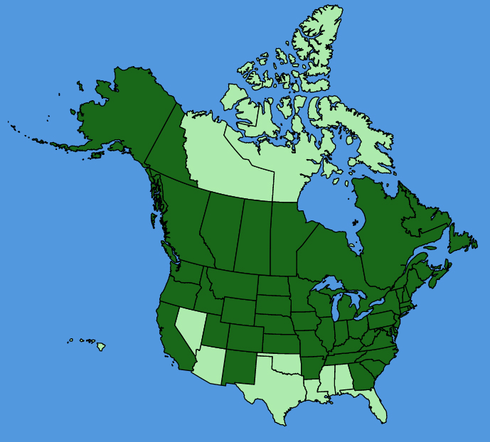 map-usc-wf-Silene-vulgaris.JPG