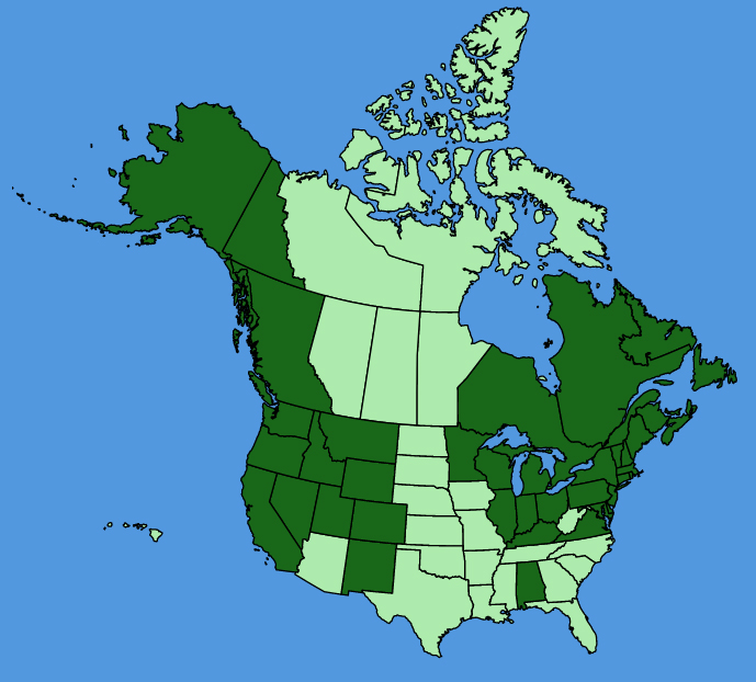map-usc-wf-Spergularia-rubra.JPG