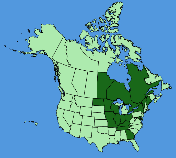 map-usc-wf-Stachys-hispida.JPG