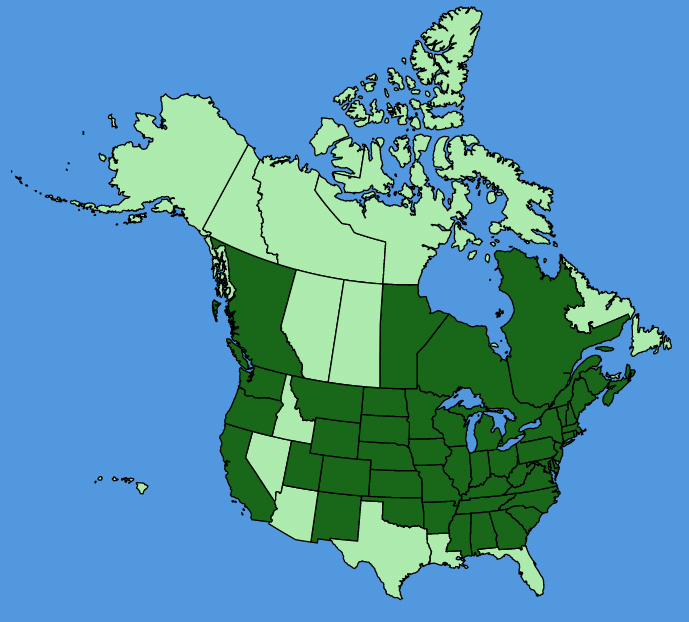 map-usc-wf-Symphyotrichum-novae-angliae.JPG