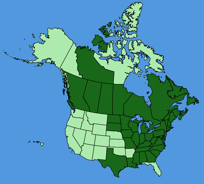 map-usc-wf-Symphyotrichum-puniceum.JPG