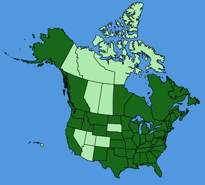 map-usc-wf-Trifolium-campestre.JPG