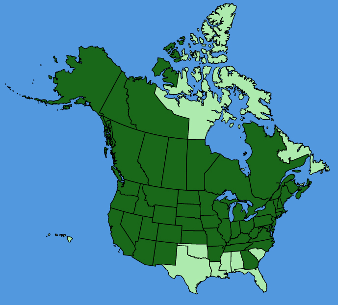 map-usc-wf-Turritis-glabra.JPG