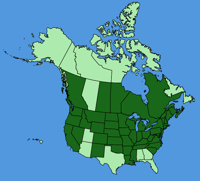 map-usc-wf-Typha-angustifolia.JPG