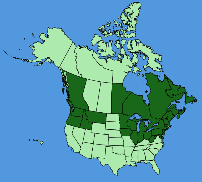 map-usc-wf-Valeriana-officinalis.JPG