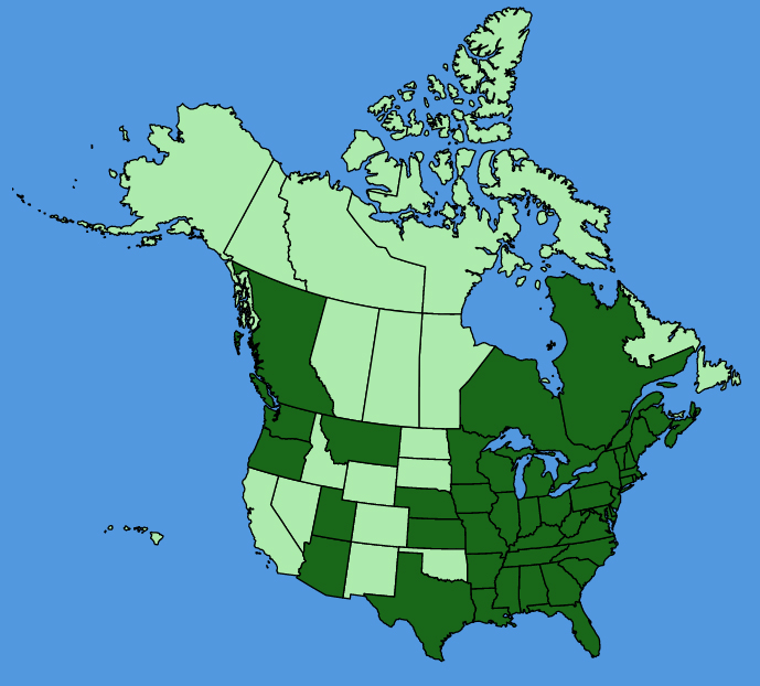map-usc-wf-Vinca-minor.JPG