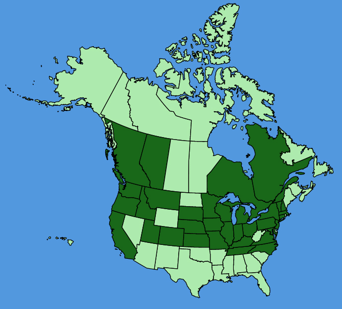 map-usc-wf-Wolffia-borealis.JPG