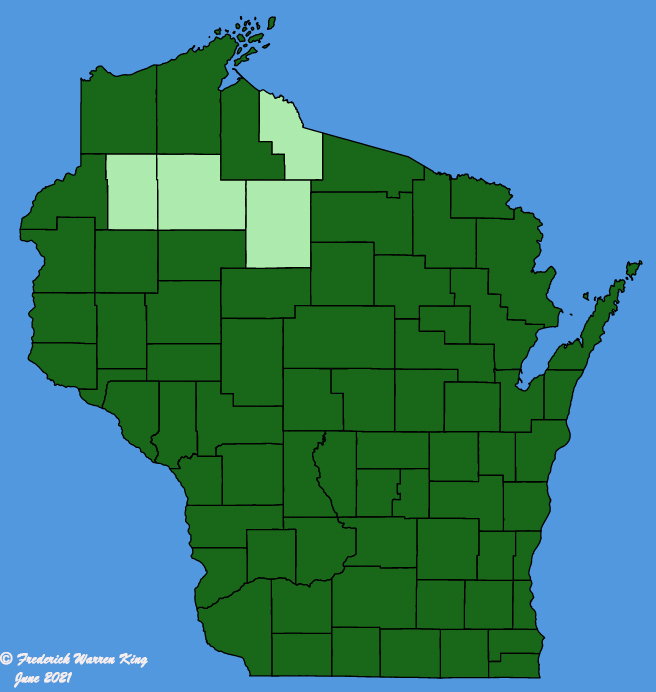map-wis-Acer-negundo.JPG