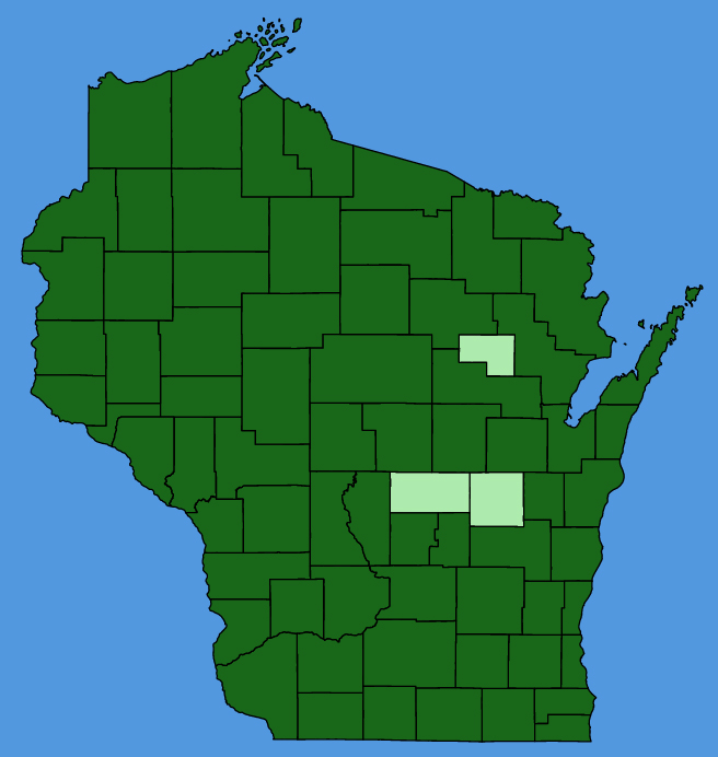 map-wis-Actaea-rubra.JPG