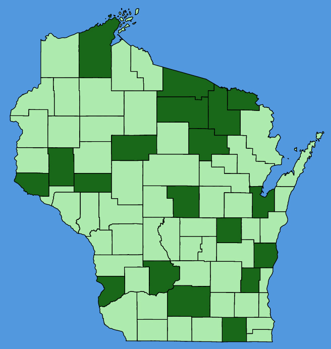 map-wis-Aegopodium-podagraria.JPG