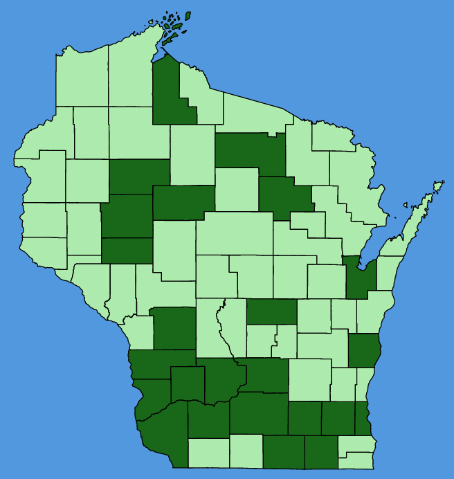 map-wis-Aesculus-glabra.JPG