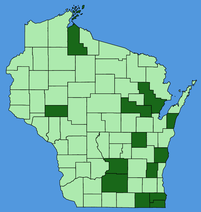 map-wis-Aesculus-hippocastanum.JPG