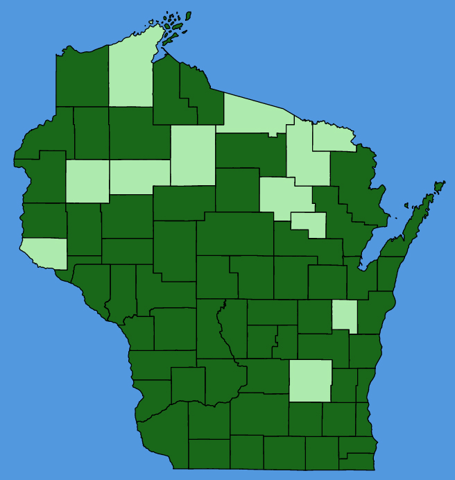 map-wis-Agalinis-tenuifolia.JPG