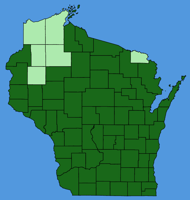 map-wis-Ageratina-altissima.JPG