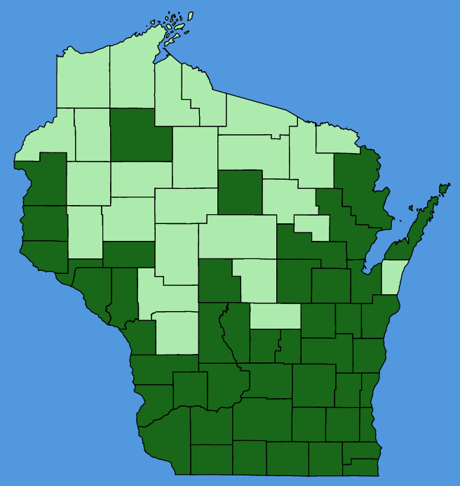 map-wis-Amaranthus-tuberculatus.JPG