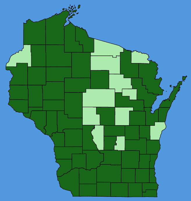 map-wis-Ambrosia-trifida.JPG
