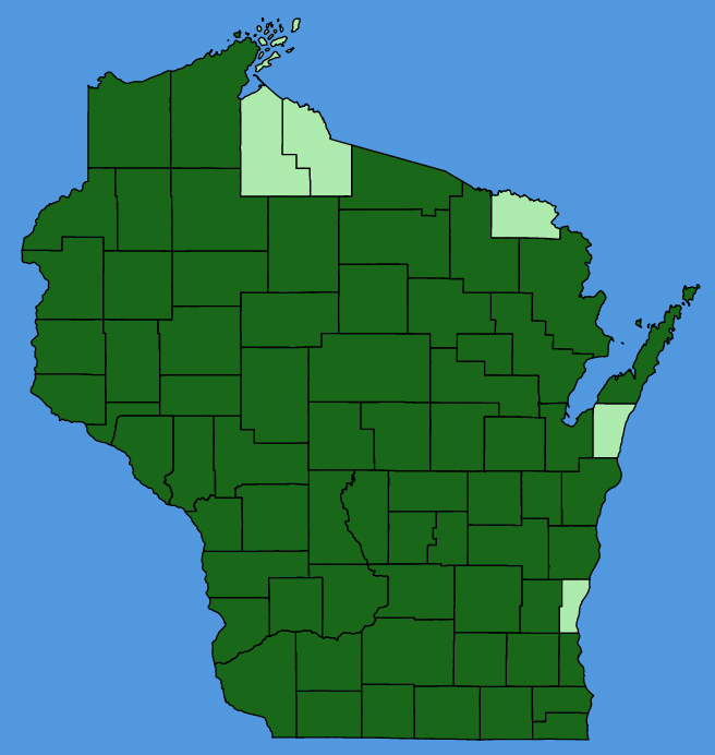 map-wis-Andropogon-gerardi.JPG