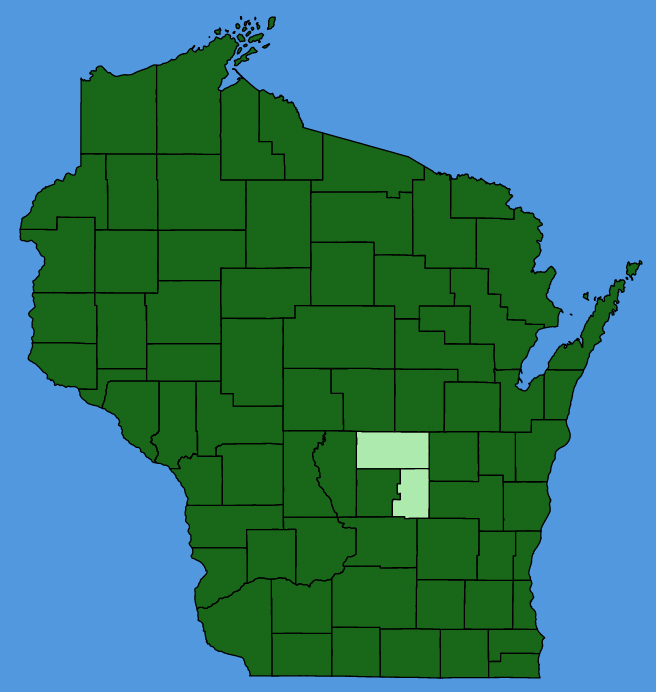 map-wis-Anemone-virginiana.JPG