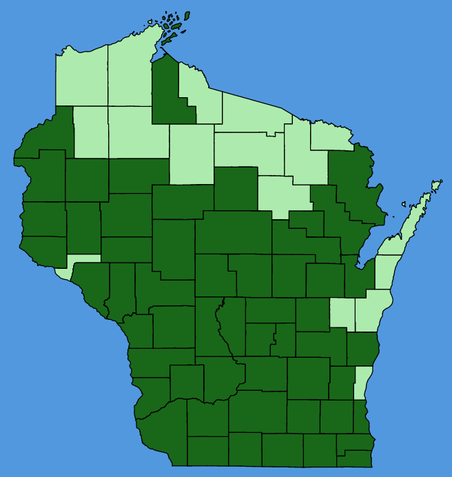 map-wis-Apios-americana.JPG