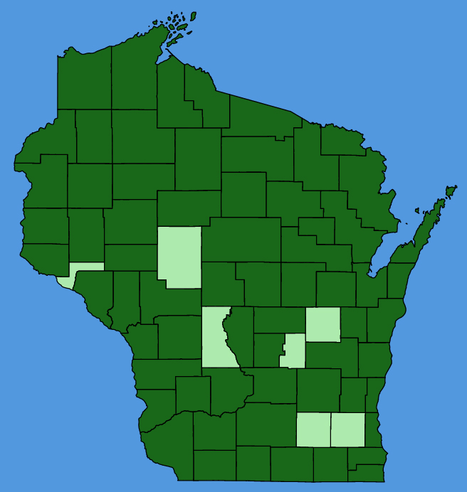 map-wis-Aralia-racemosa.JPG