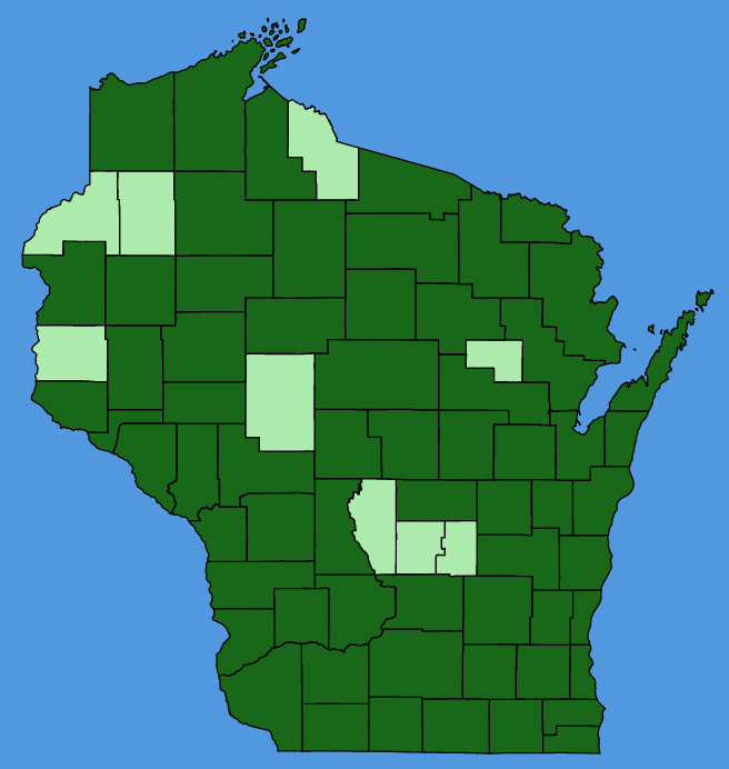 map-wis-Arctium-minus.JPG