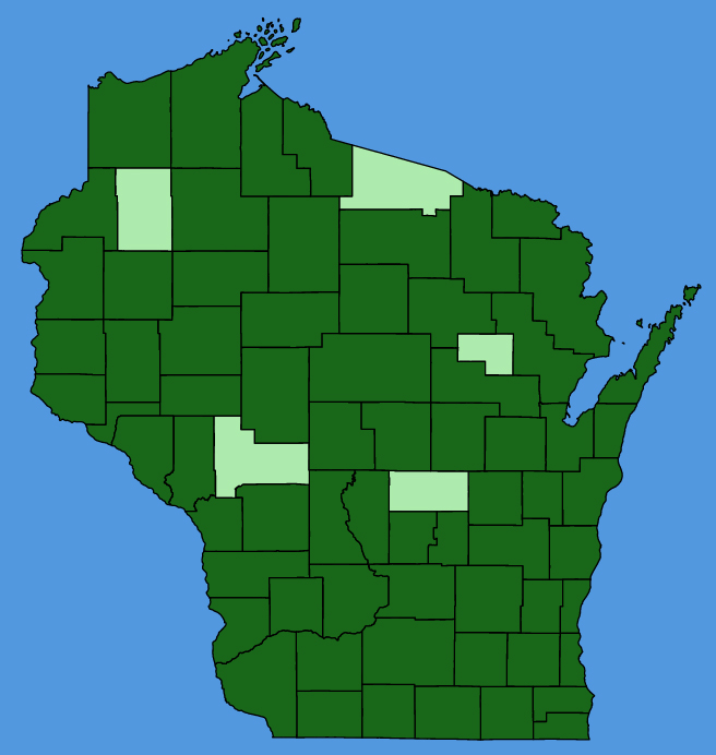 map-wis-Asarum-canadense.JPG