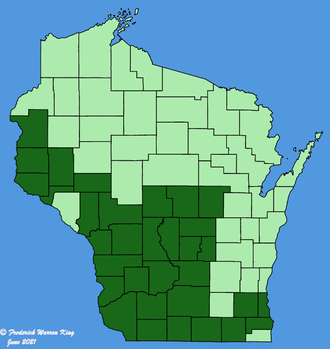 map-wis-Baptisia-bracteata.JPG