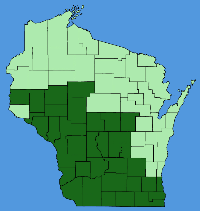 map-wis-Baptisia-lactea.JPG